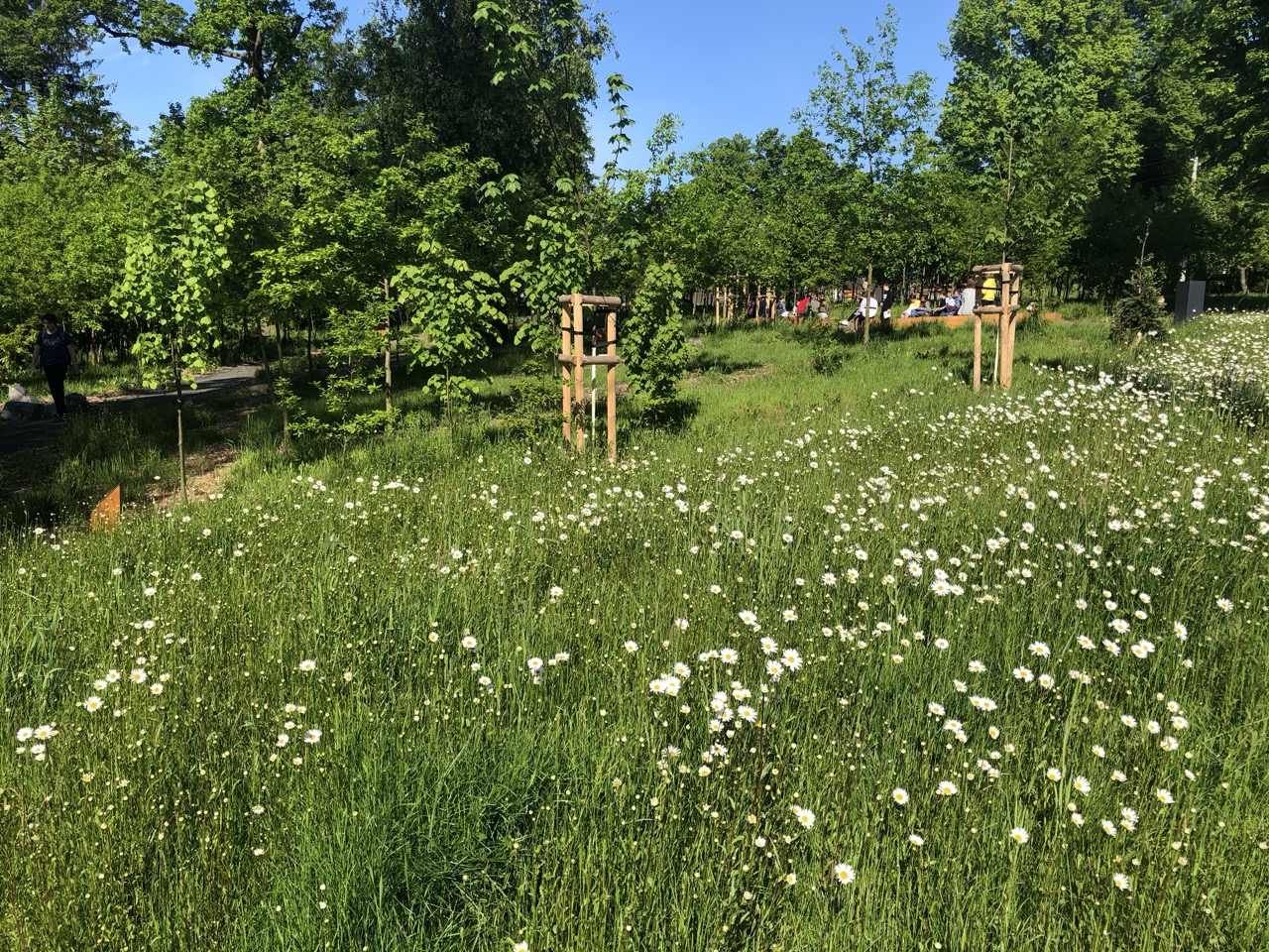 Lesní Park - fotografie 21