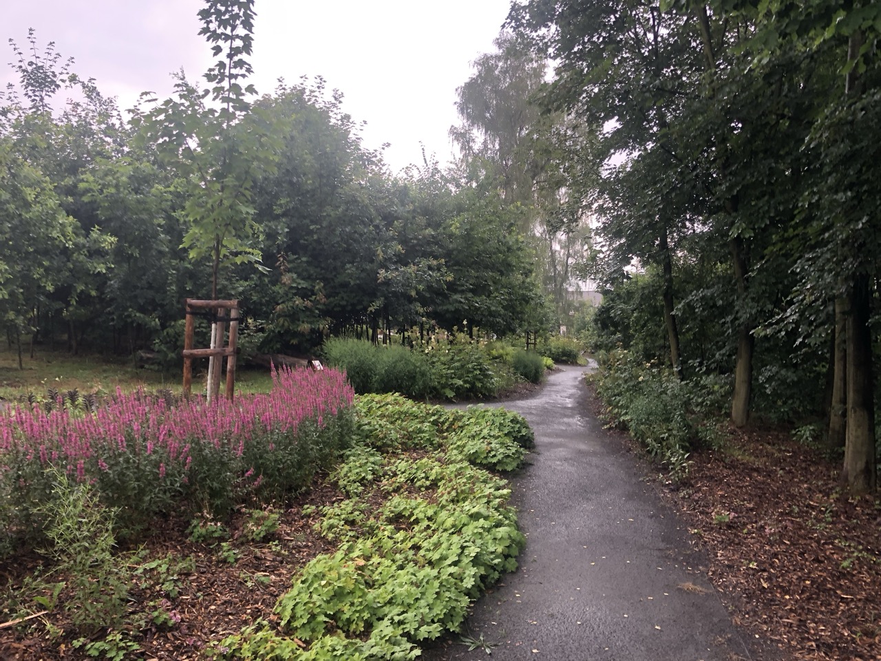 Lesní Park - fotografie 22