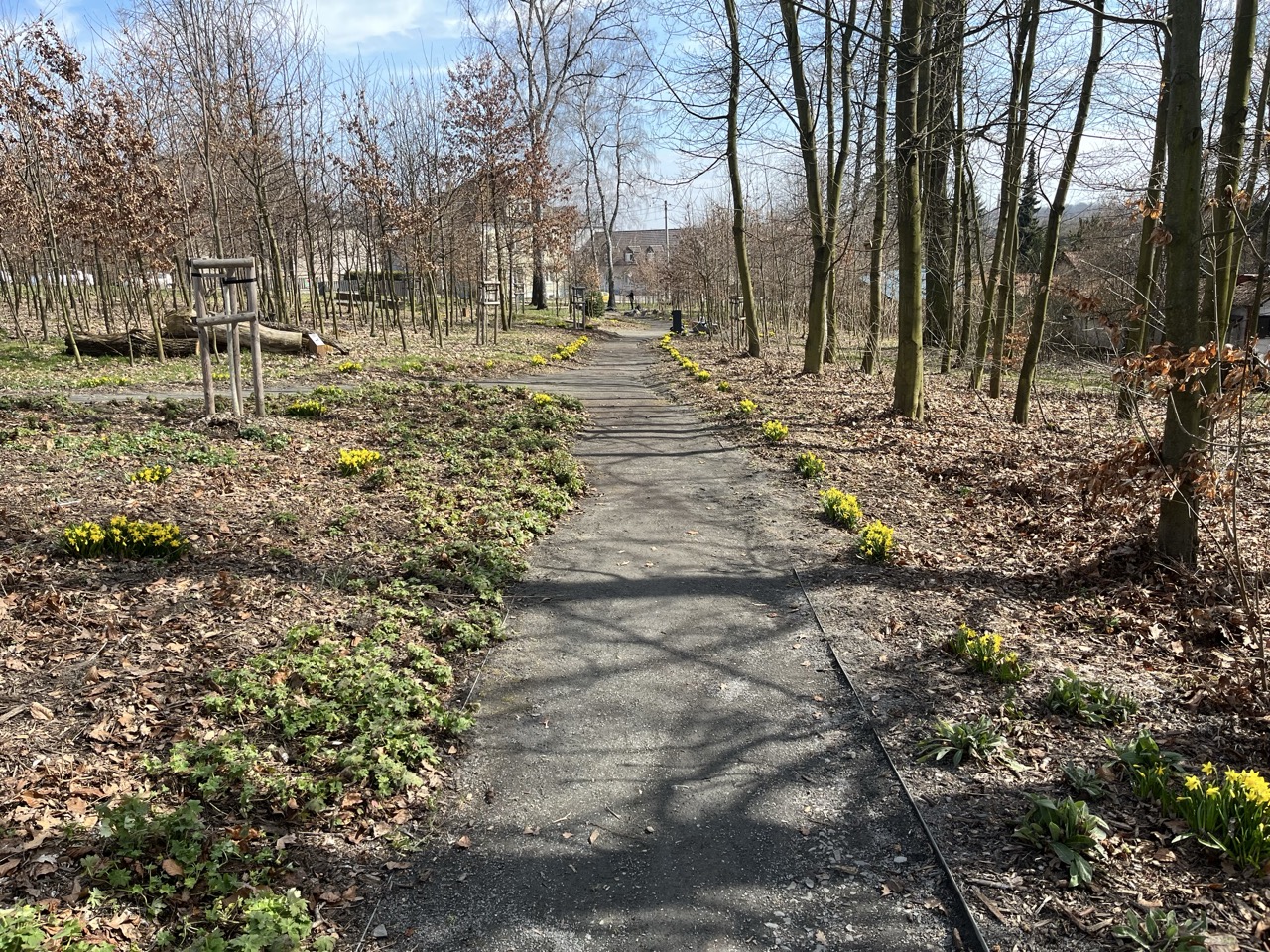 Lesní Park - fotografie 23