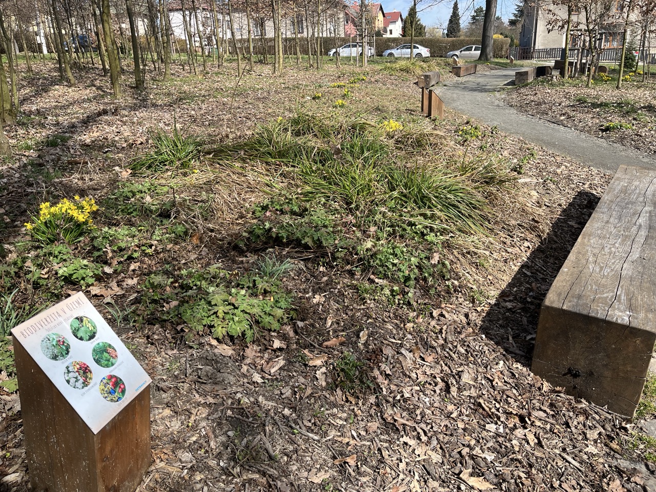Lesní Park - fotografie 25