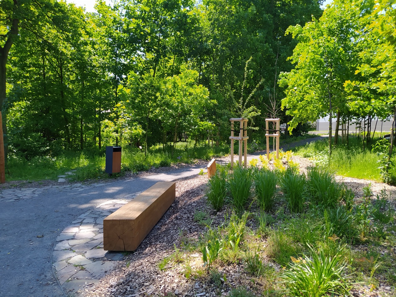 Lesní Park - fotografie 28