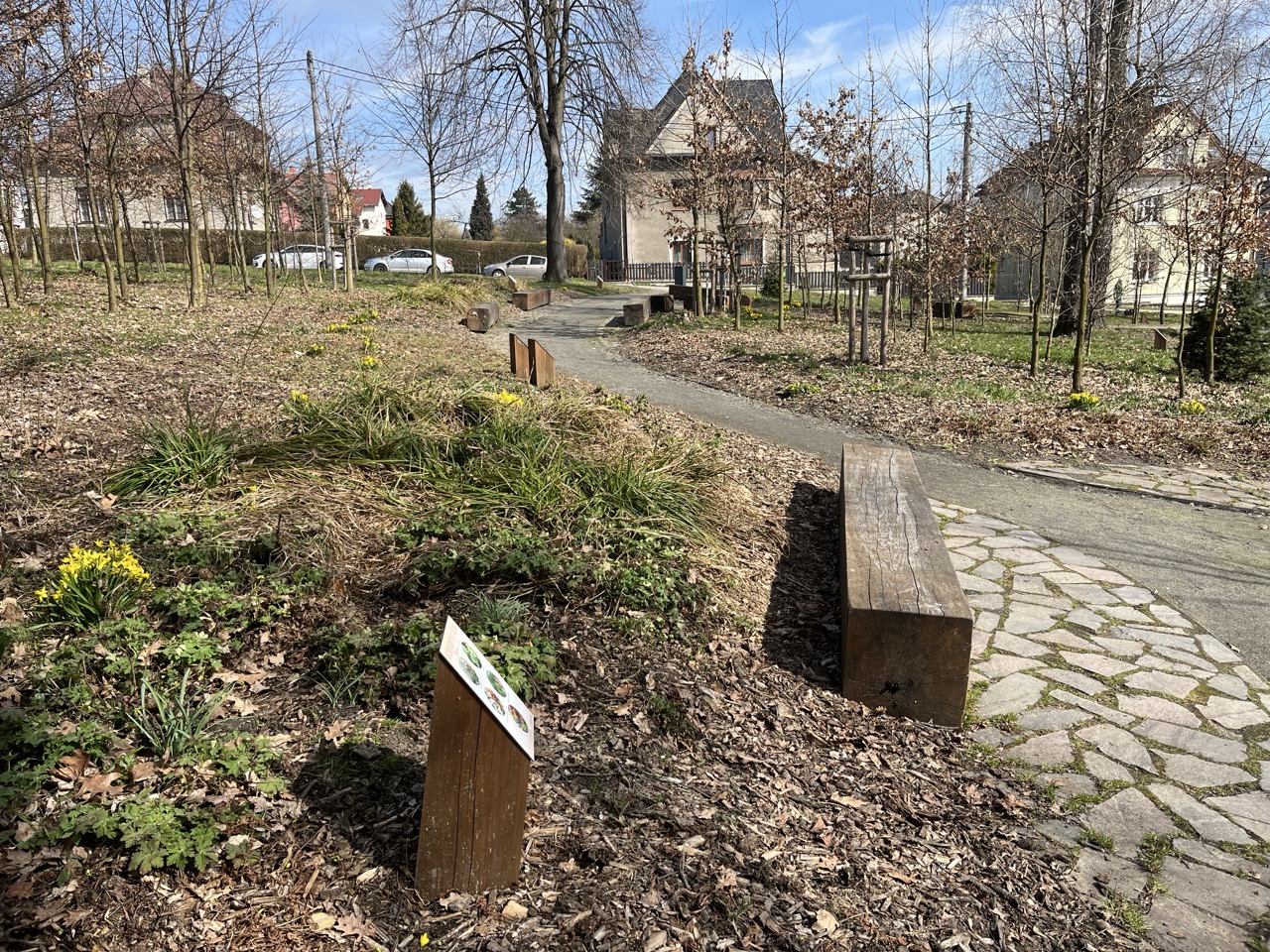 Lesní Park - fotografie 3