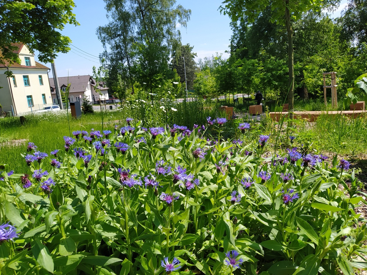Lesní Park - fotografie 31