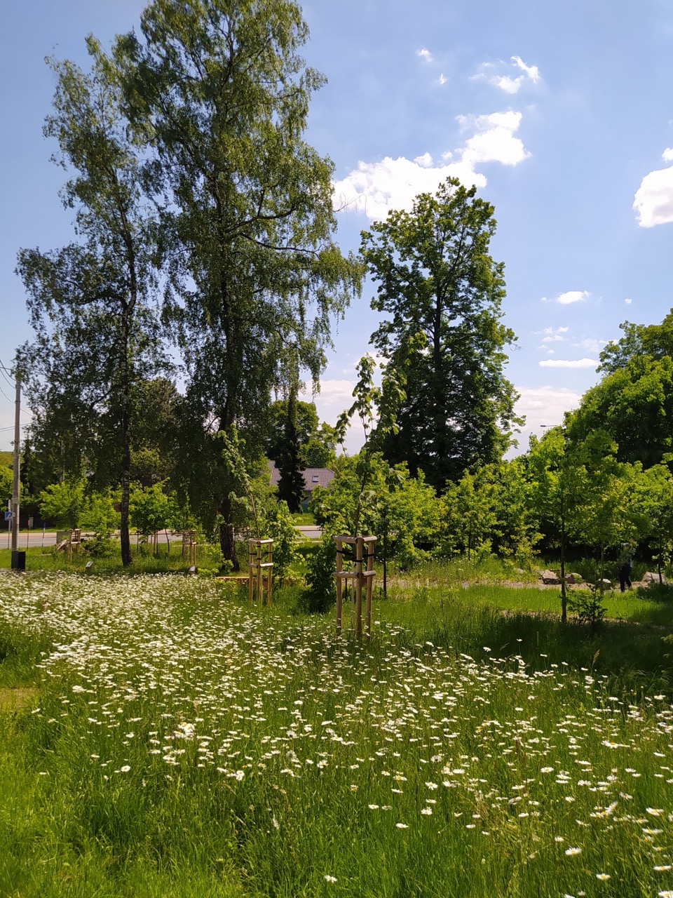 Lesní Park - fotografie 32