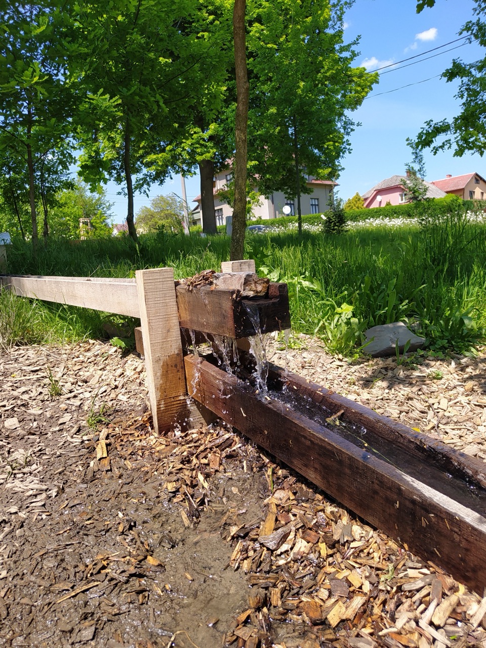 Lesní Park - fotografie 35