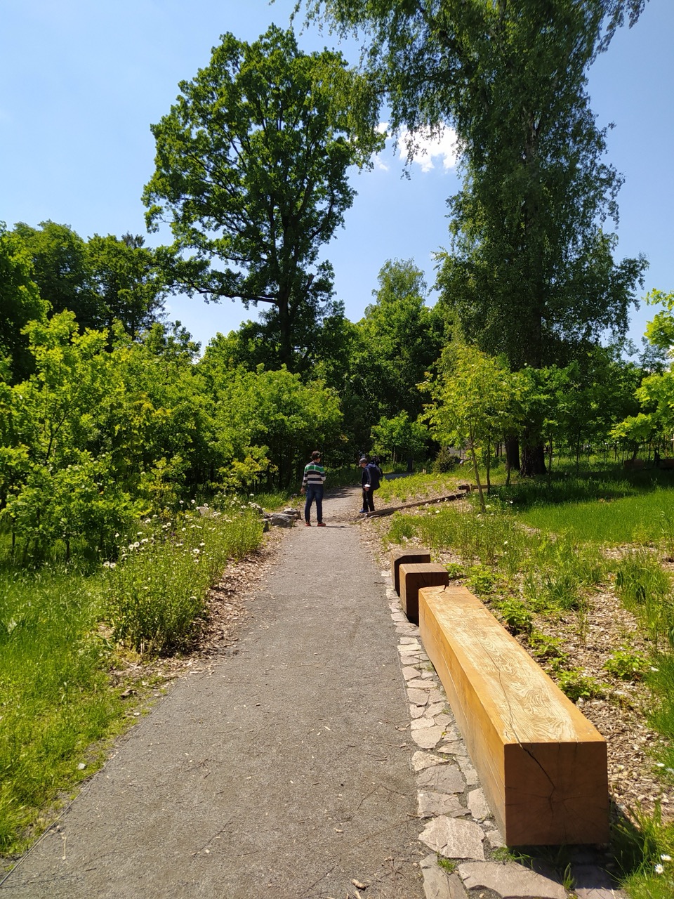 Lesní Park - fotografie 38