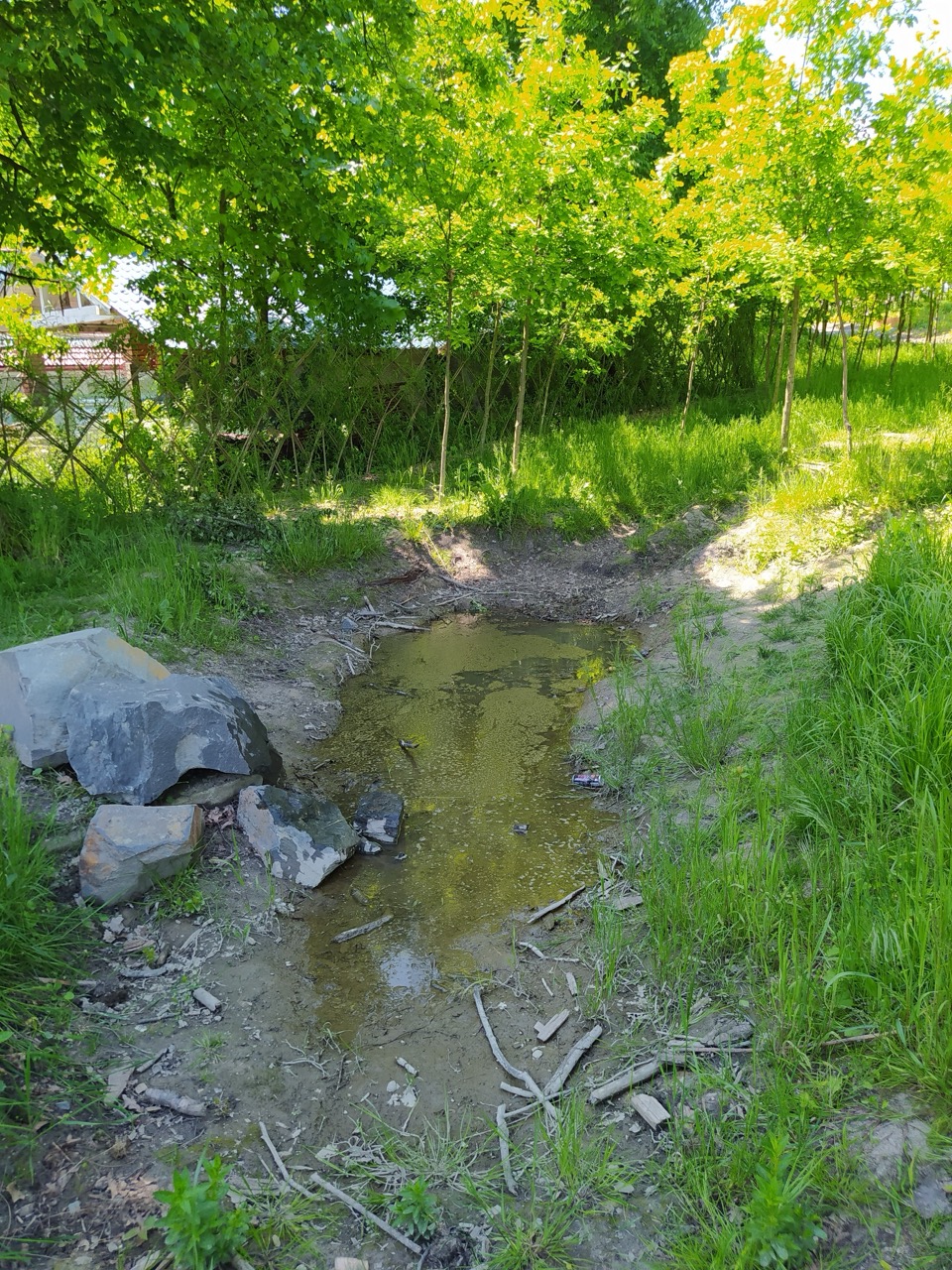 Lesní Park - fotografie 39