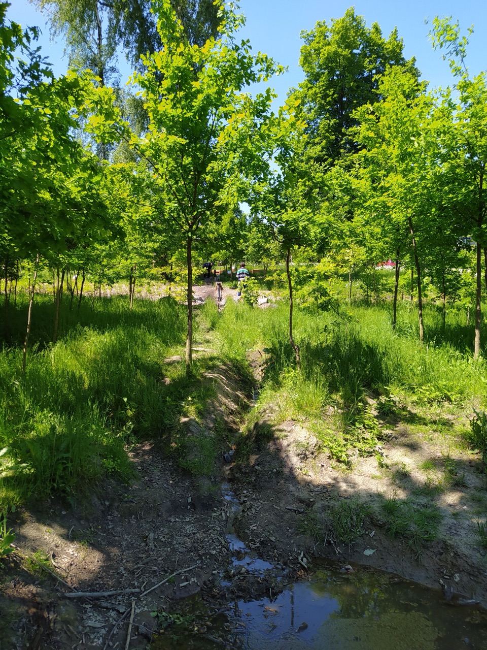 Lesní Park - fotografie 41