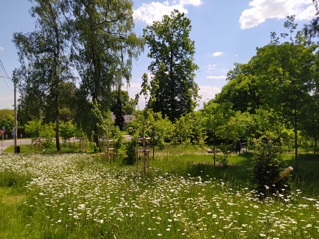 Lesní Park