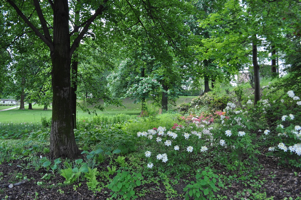 Park u Hvězdárny - fotografie 11