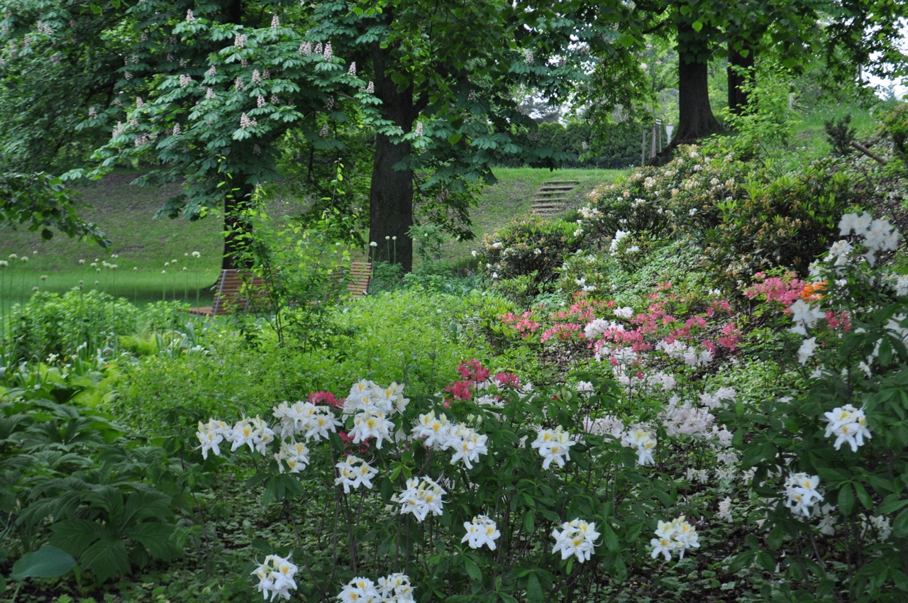 Park u Hvězdárny - fotografie 12