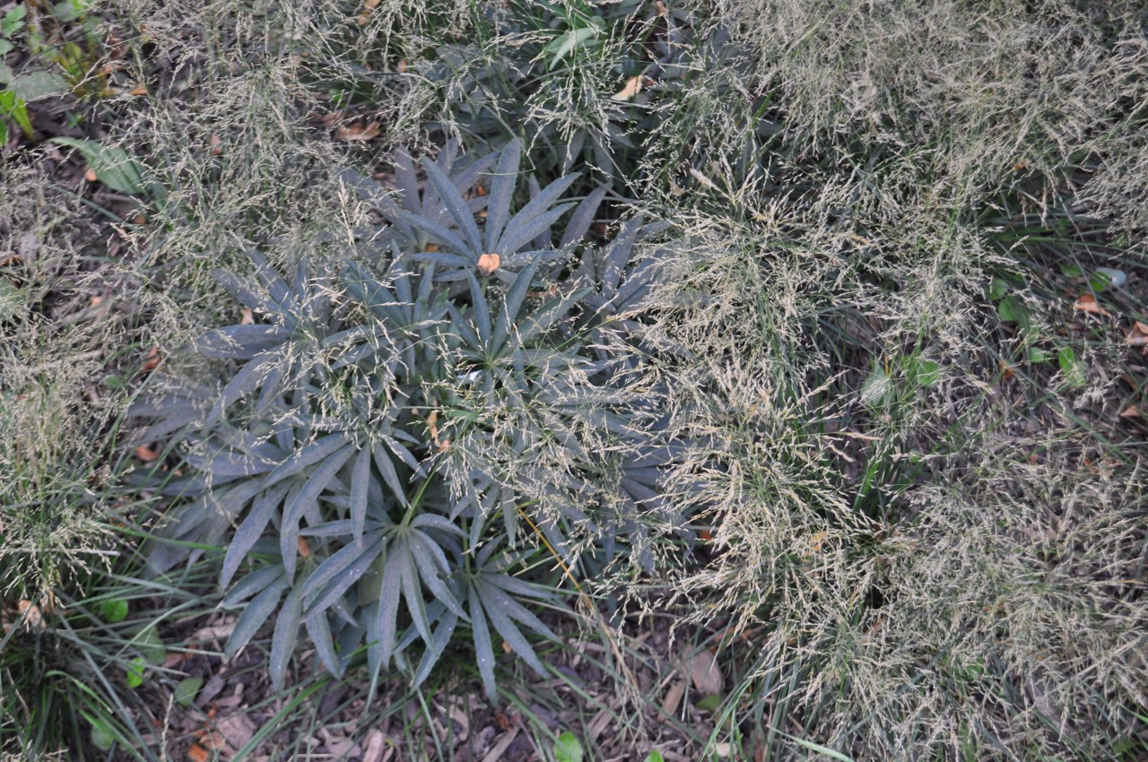 Park u Hvězdárny - fotografie 18