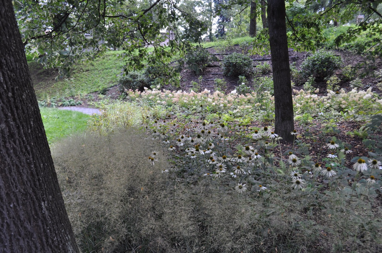 Park u Hvězdárny - fotografie 19