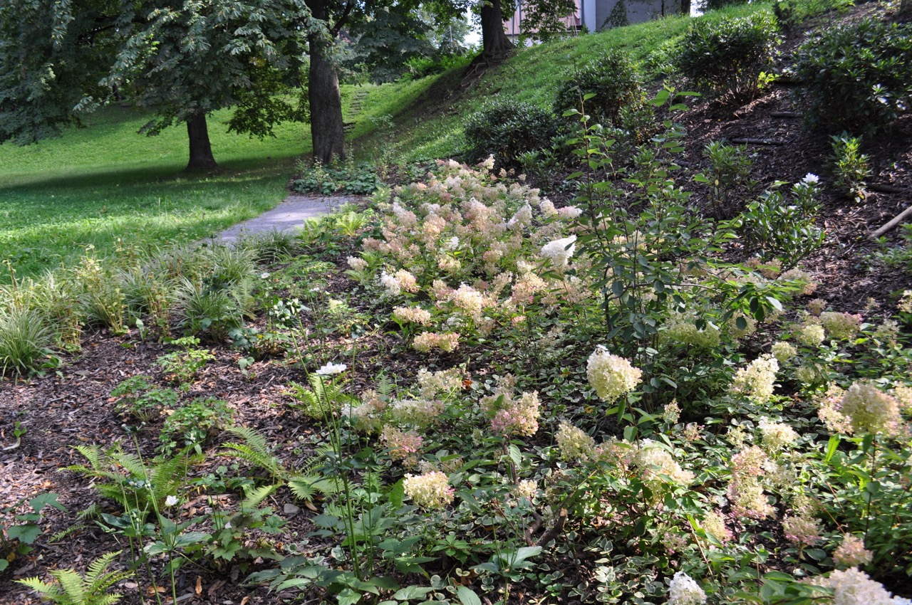 Park u Hvězdárny - fotografie 20