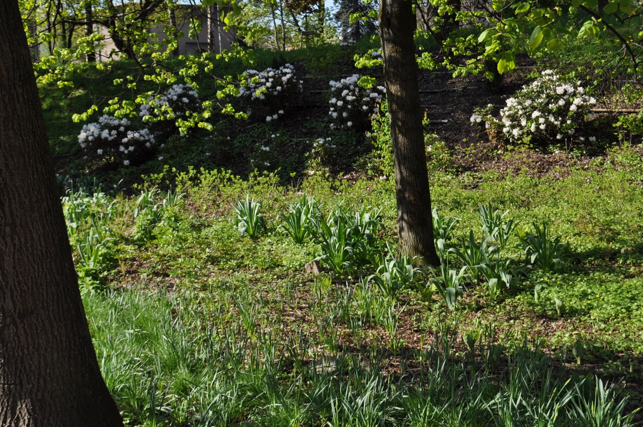 Park u Hvězdárny - fotografie 3