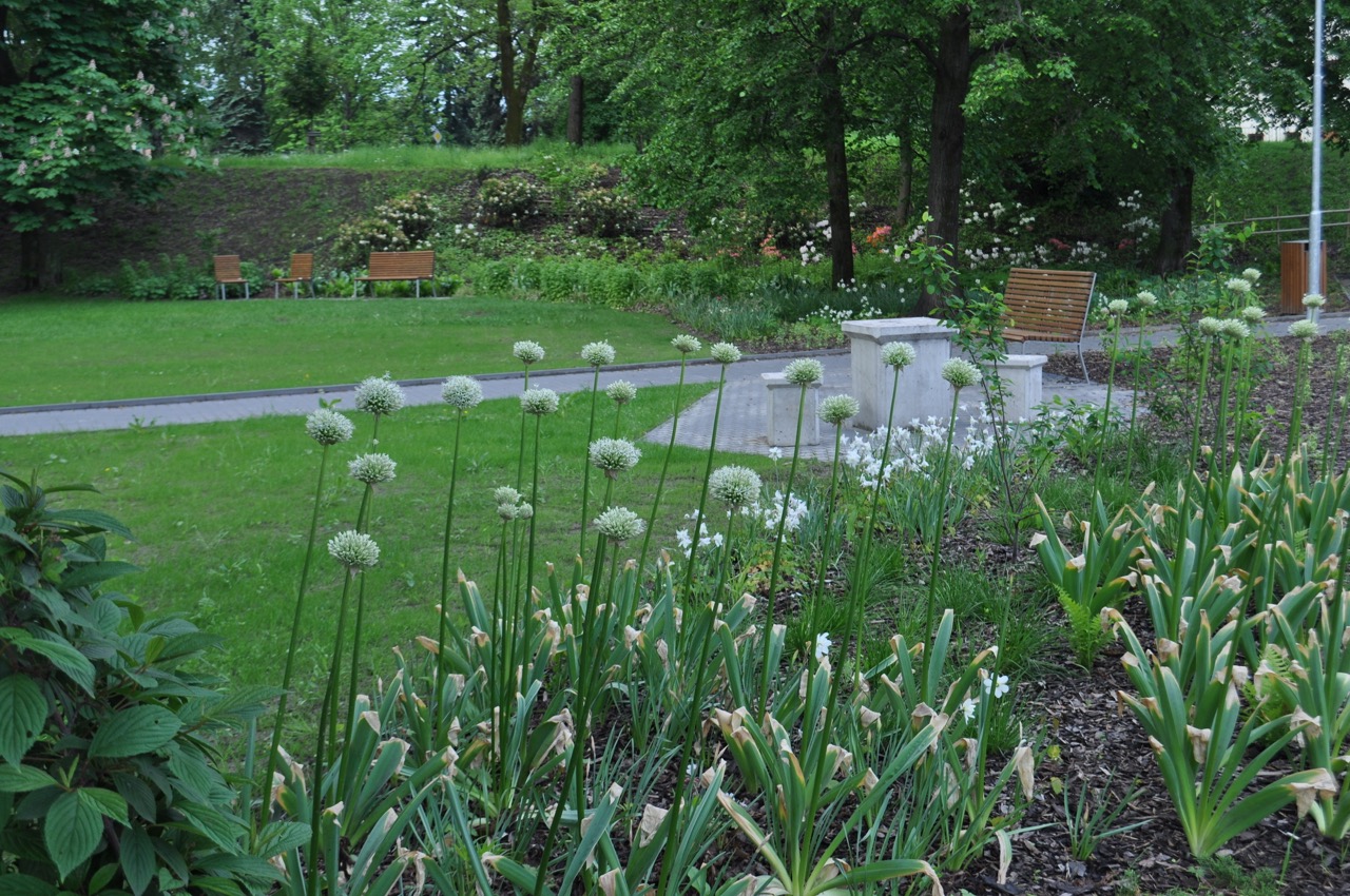 Park u Hvězdárny - fotografie 5