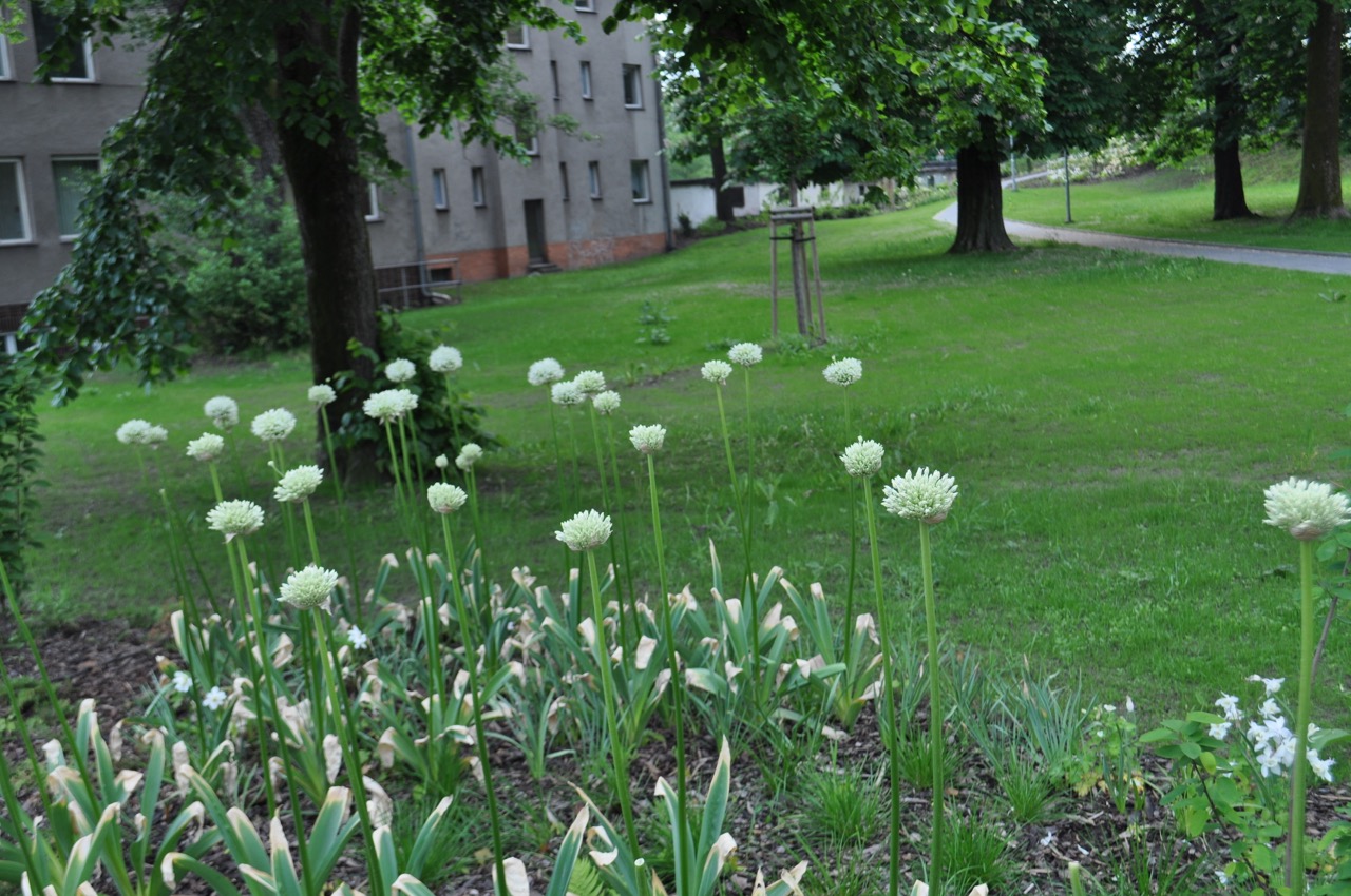 Park u Hvězdárny - fotografie 6