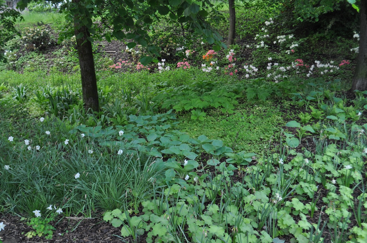 Park u Hvězdárny - fotografie 7