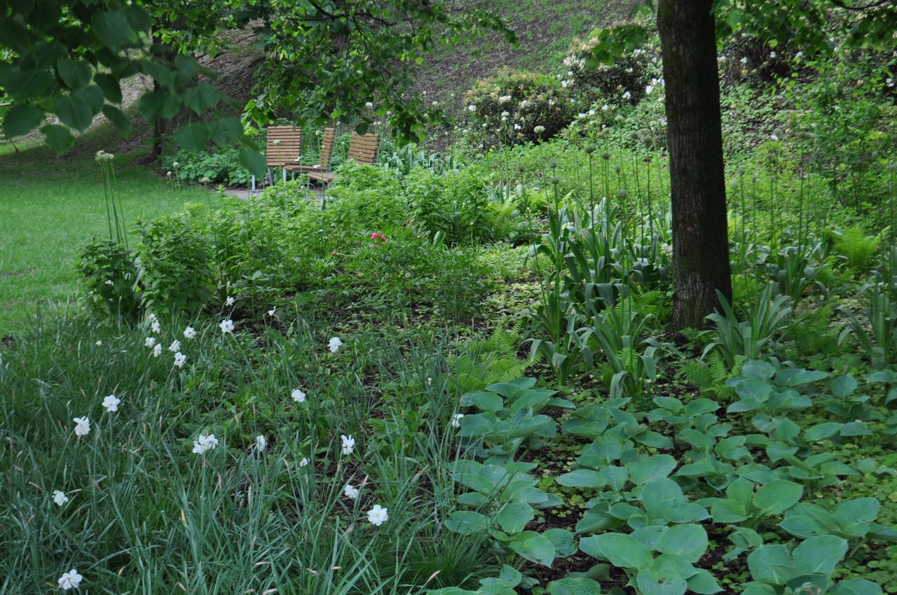 Park u Hvězdárny - fotografie 8