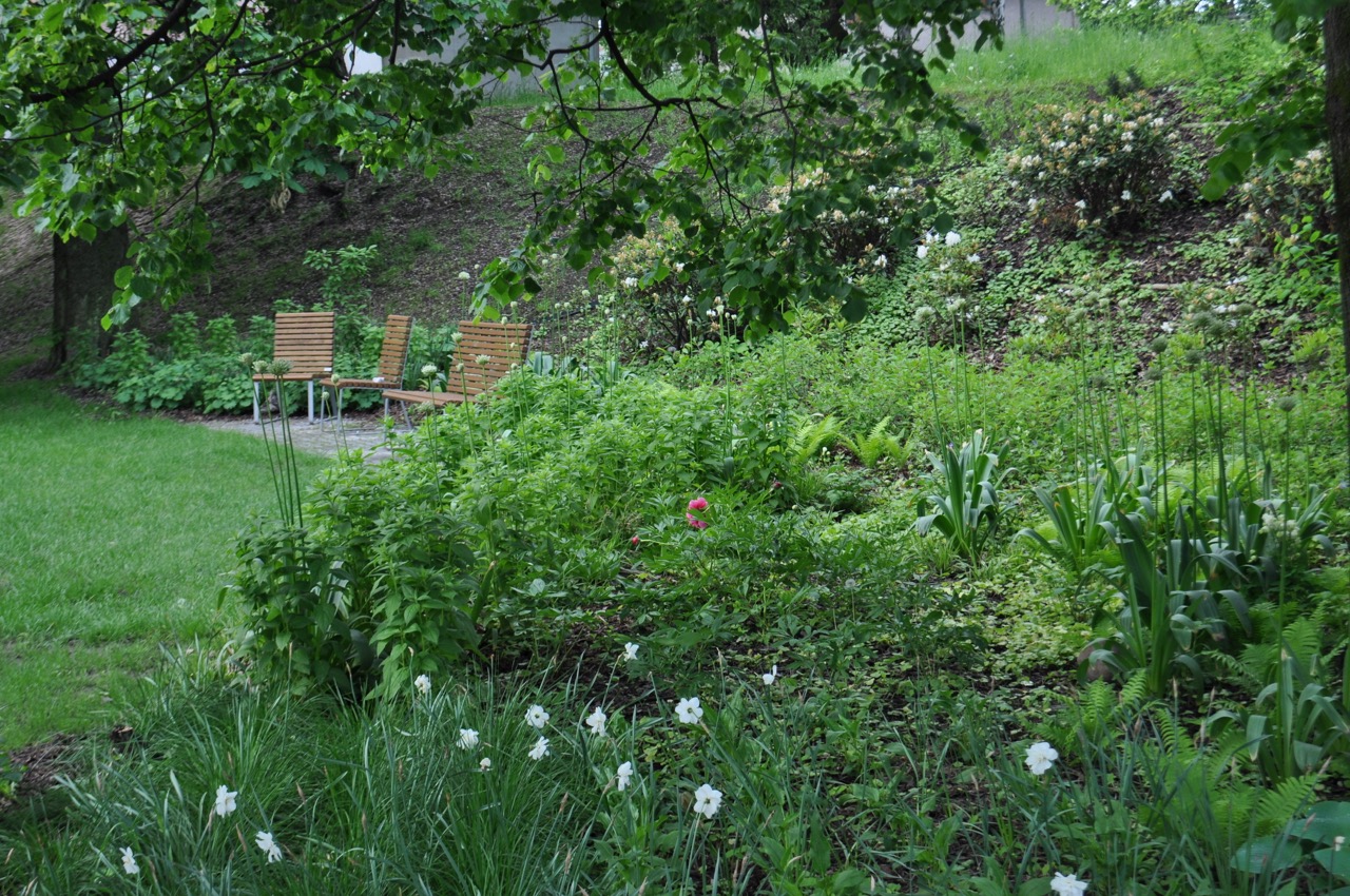 Park u Hvězdárny - fotografie 9