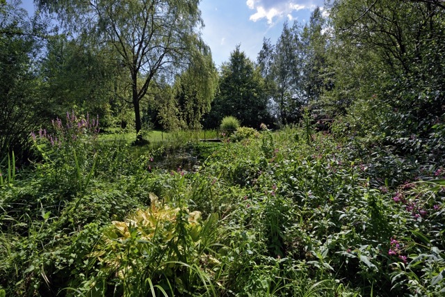 Zahrada v Hrádku ve Slezsku - fotografie 5