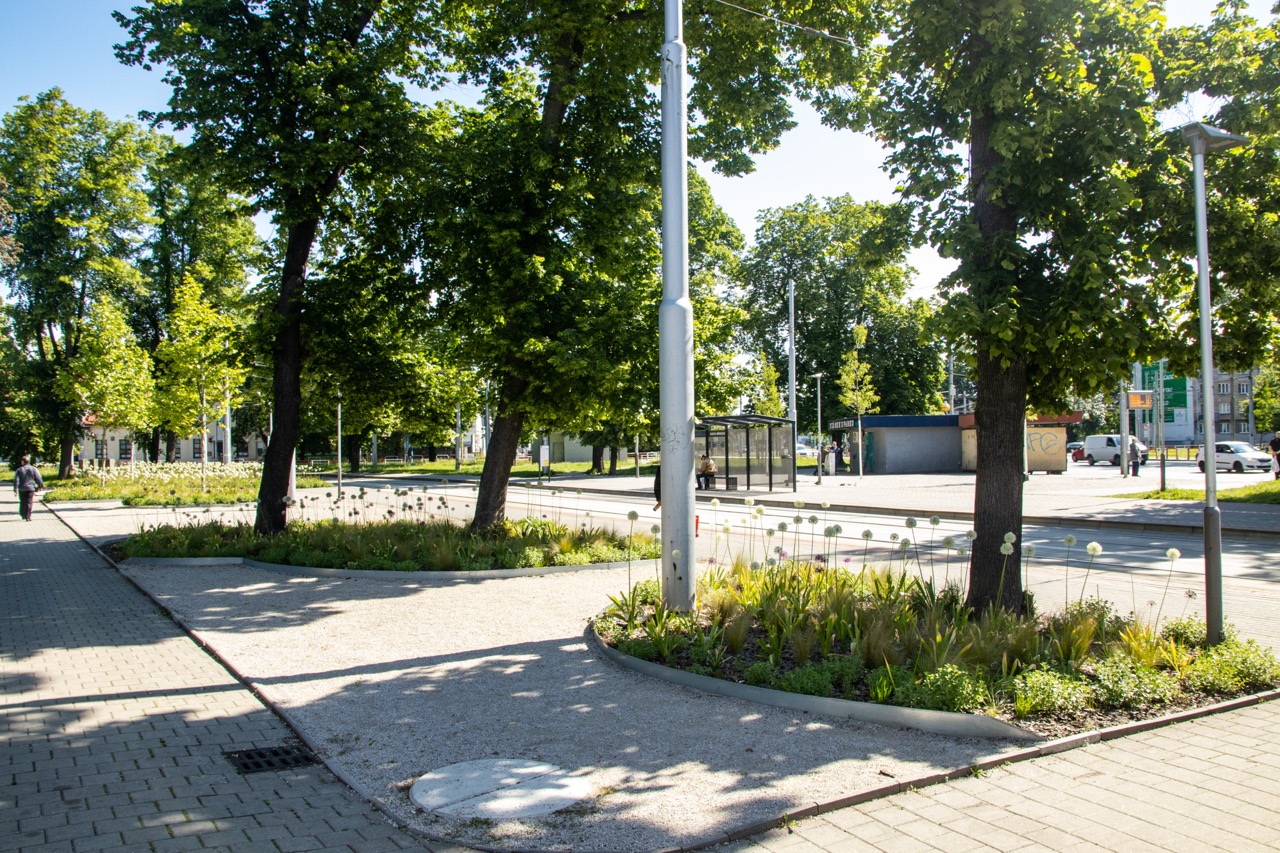 Sad Boženy Němcové  - fotografie 12