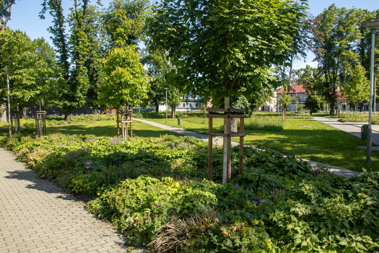 Sad Boženy Němcové  - fotografie 14