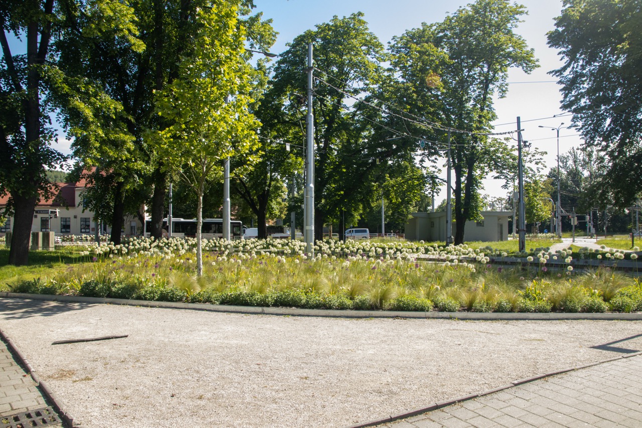 Sad Boženy Němcové  - fotografie 6