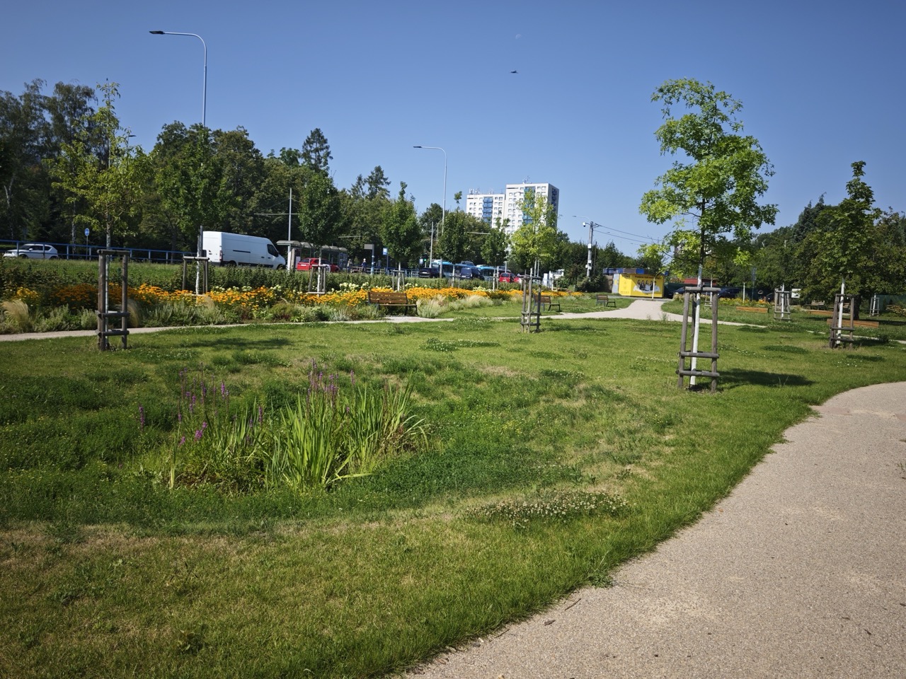 Třebovice Kozinova - fotografie 12
