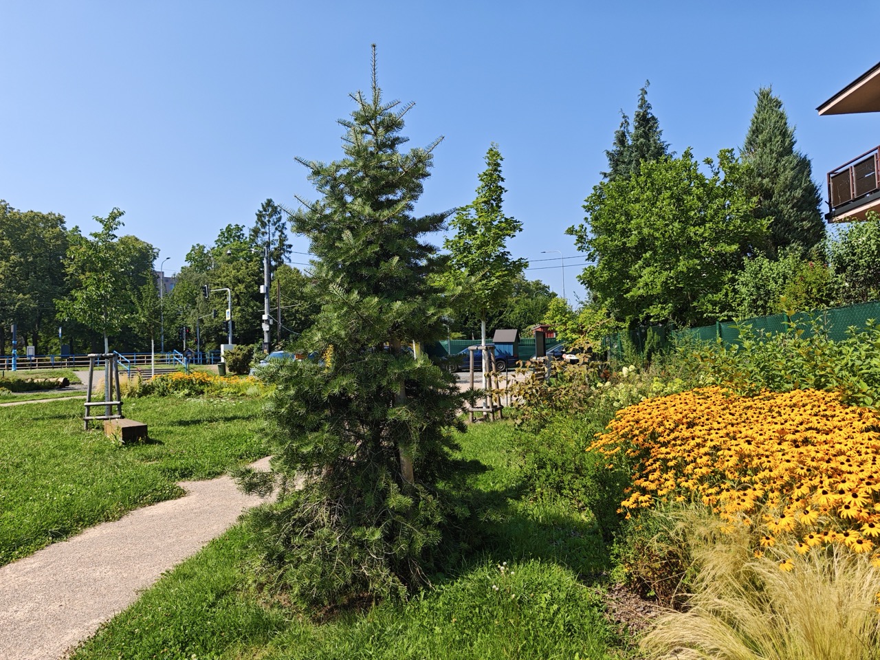 Třebovice Kozinova - fotografie 19