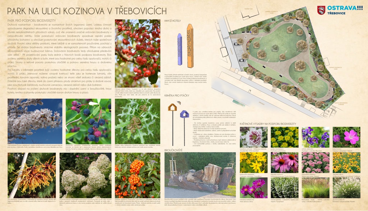 Třebovice Kozinova - fotografie 21